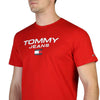 Tommy Hilfiger T-shirts